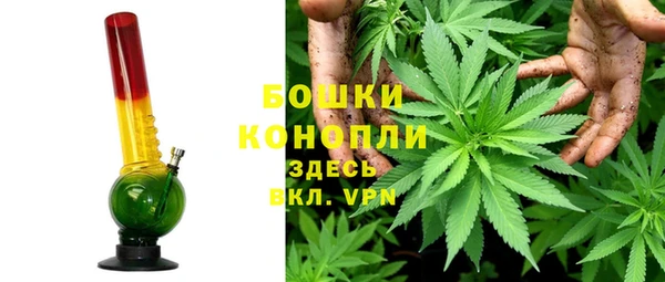 метадон Новодвинск