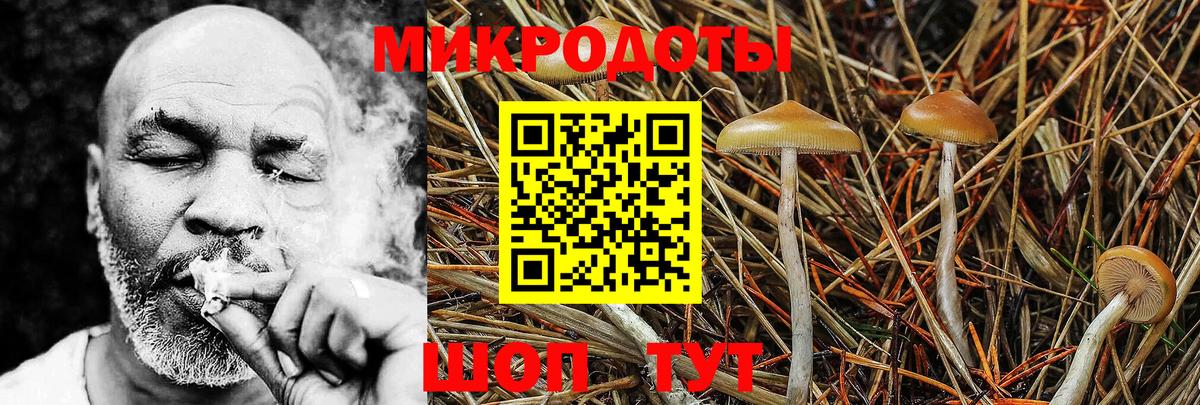 Рузаевка  Псилоцибиновые грибы мицелий  где купить   Псилоцибиновые грибы мухоморы  Вход с VPN 